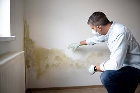 Reliable Alpine, UT Mold Remediation Solutions